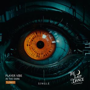 Player Vibe – In the Dark