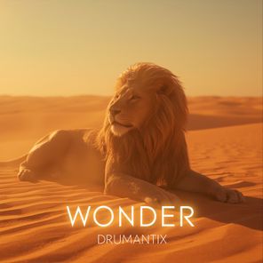 DRUMANTIX – Wonder
