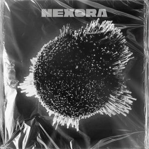 Gisella Engel, After Kollaps – Nexora
