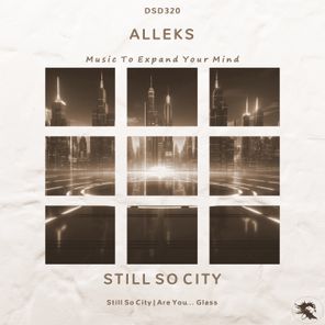 ALLeks – Still So City