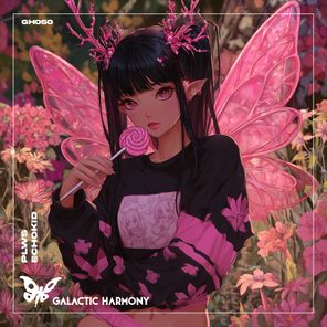 PLWS, Galactic Harmony – Echokid