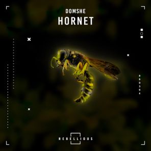 Domshe – Hornet