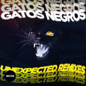 Gatos Negros, Thaddeus X – Unexpected Remixes