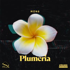MONé (IN) – Plumeria