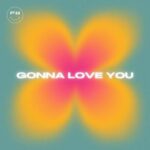 PRTYHRD, DIZZCO – Gonna Love You