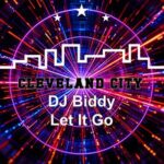 DJ Biddy – Let It Go