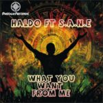 Haldo, S.A.N.E – What You Want From Me
