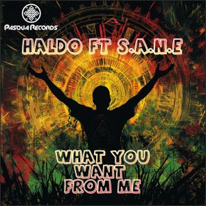 Haldo, S.A.N.E – What You Want From Me