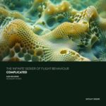 The Infinite Seeker of Flight Behaviour – Complicated