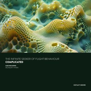 The Infinite Seeker of Flight Behaviour – Complicated