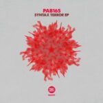 PAB165 – Syntax Error EP