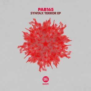 PAB165 – Syntax Error EP