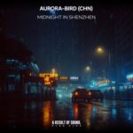 Aurora-bird (CHN) – Midnight in Shenzhen