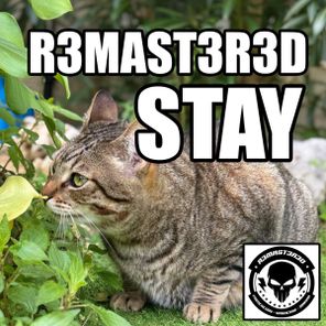 R3MAST3R3D – Stay