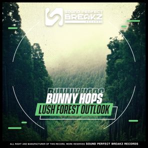 Bunny Hops – Lush forest outlook