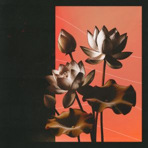 Amoss, Hugh Hardie – Lotus