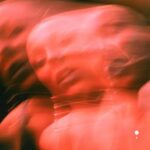 After Hours, Charlie Shell – Visions