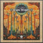 Lysergic Dimension – Neural Pathways