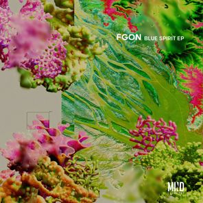FGON – Blue Spirit
