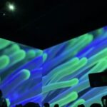 Surfo – Night