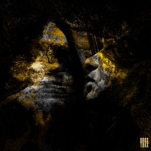 War DEN – Replanteo 2