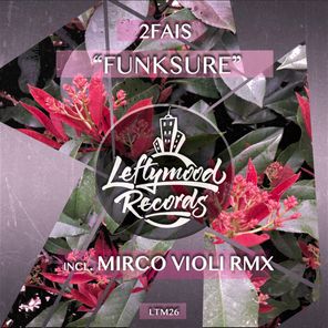 Mirco Violi, 2Fais – Funksure