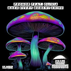 Twitchin Skratch, Olivia – Make Every Moment Shine