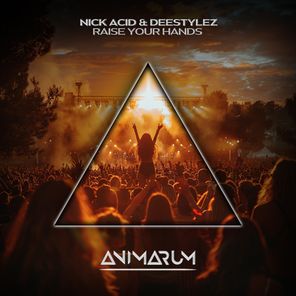 Nick Acid, DeeStylez – Raise Your Hands (Extended Mix)