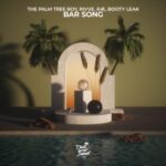 BOOTY LEAK, The Palm Tree Boy – Bar Song