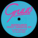 Audiojack, Aleya Mae – Dizzy Heights