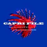 Capri File – Old Shuffle Fechenheim