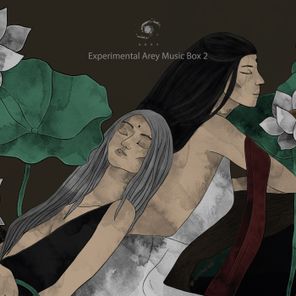 Home Shell, Kay Deet – Experimental Arey Music Box 2