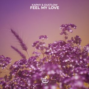 Kaphy, Dustlow – Feel My Love