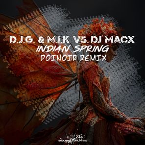 D.J.G., M.I.K! – Indian Spring (Poinoir Remix)