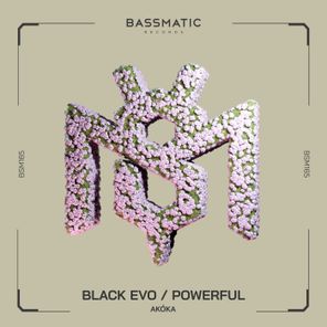 AKÓKA – Black Evo / Powerful
