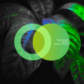 Baris Bayrak, Kostyn – House Is Calling