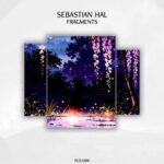 Sebastian Hal – Fragments