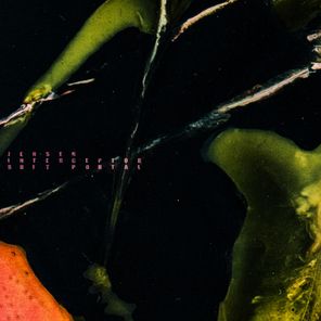 Jensen Interceptor – Soft Portal