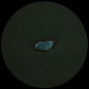Jonas Kopp, Divide – Sezione Aurea EP