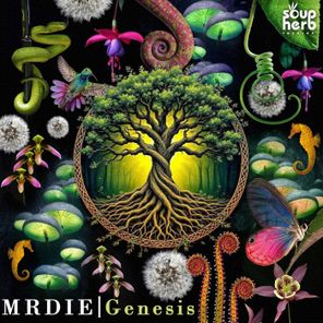MRDIE – Genesis