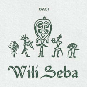 DJ DALI – Wili Seba