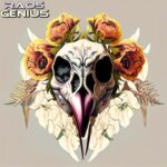 Raos – Genius