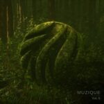 CloZee, shwiLLy – Muzique, Vol. 5