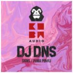 DJ DNS – Signs / Puma Punku