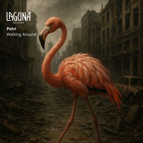 Petri – Walking Around