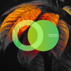 Double Disco – Face of Lies