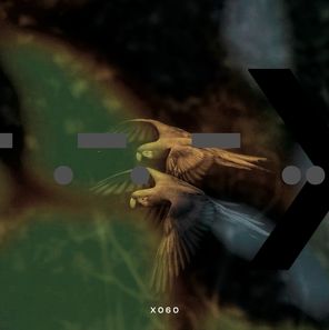 Steddi – Threads Of Fate