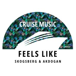 Skogsberg & Akdogan – Feels Like