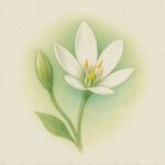 52eebc0c 803e 40cd b37b 0f843ddabbf4