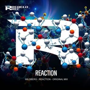 Wildberg – Reaction
